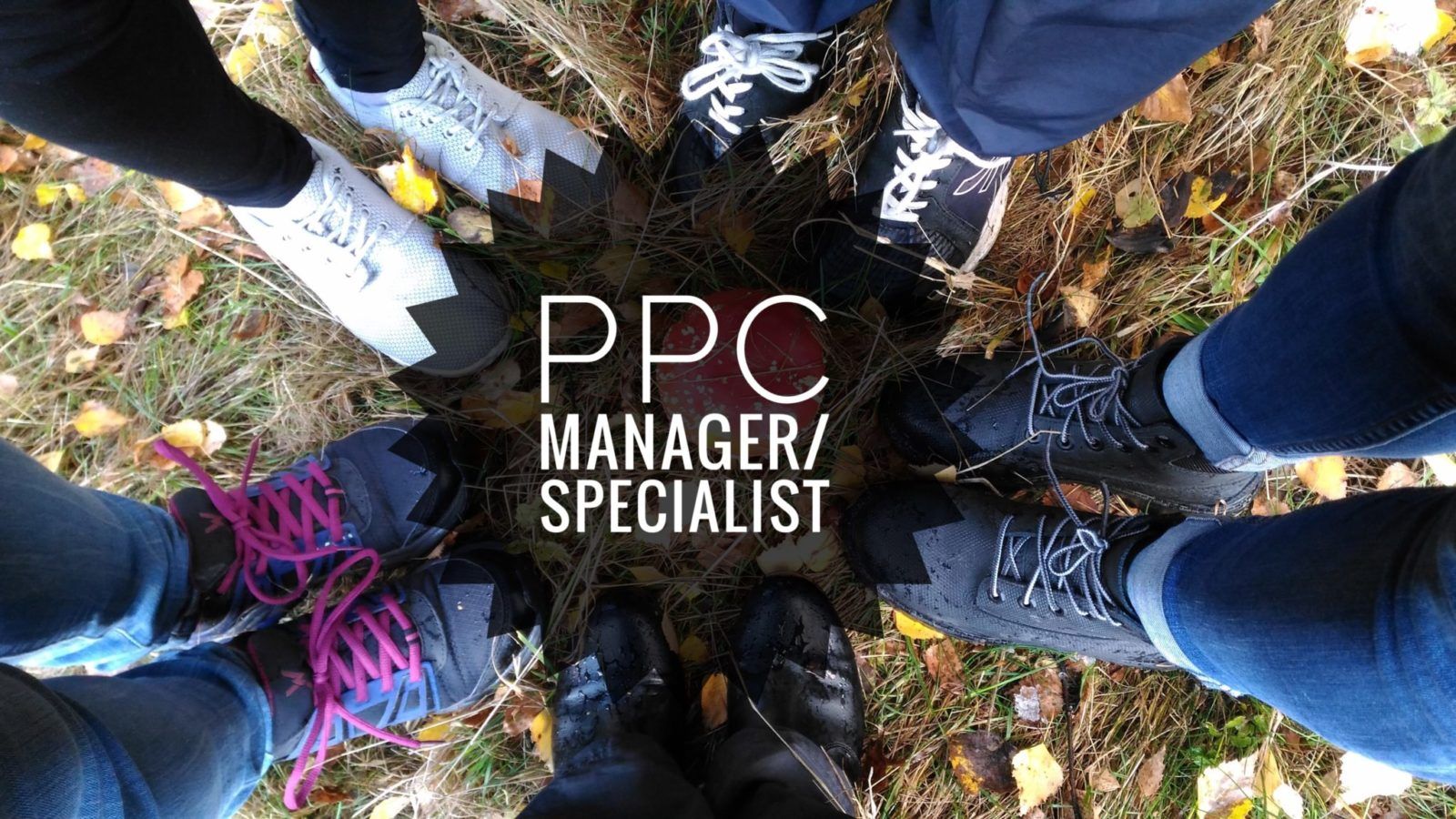 Tentokrát hledáme: PPC Manager/Specialist pro Tipli