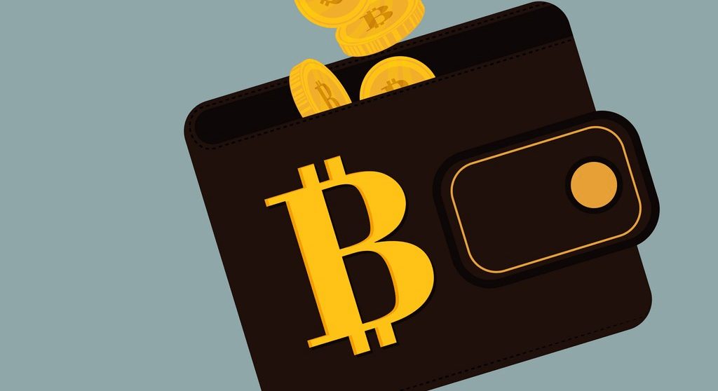 Kryptoměny a bitcoin investice – návod pro začátečníky