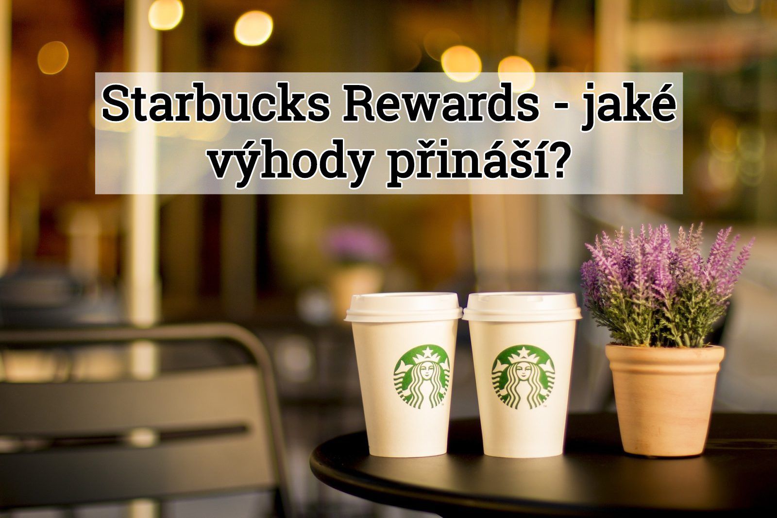 Starbucks Rewards – káva zdarma a další výhody v kavárnách Starbucks