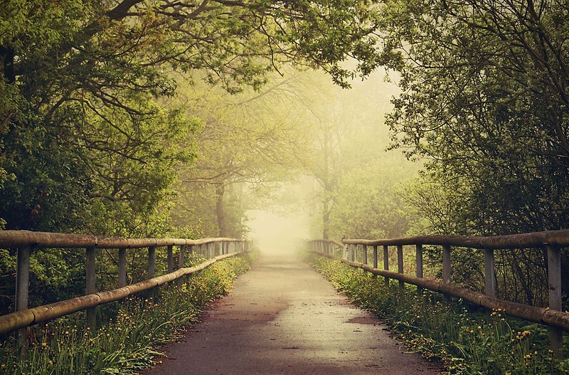 Cyklostezka Varhany je díky malebné okolní přírodě považována za jednu z nejkrásnějších stezek v ČR.
