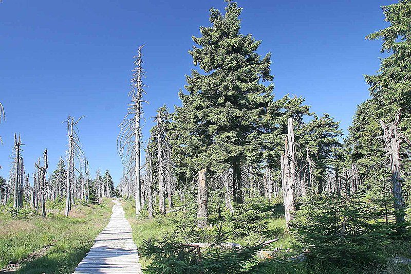 Jizerské hory jsou díky krásné přírodě, která vybízí ke kratším i náročnějším procházkám, oblíbeným místem pro výlety s celou rodinou.